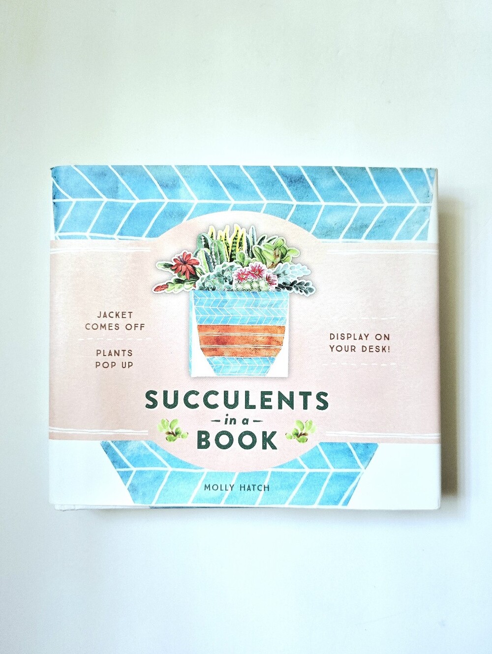 Succulents in a Book Decorative Pop-Up